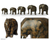 Wood sculptures, 'African Elephants' (set of 5) - Wood Elephant Sculpture (Set of 5) (image 2) thumbail