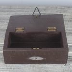 Wood jewelry box, 'Gecko Guardian' - Wood jewelry box