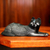 Wood figurine, 'Asevi' - African Wood Cat Figurine (image 2) thumbail