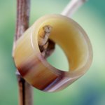 Men's bull horn band ring, 'Eagle Essence' - Men's Unique Horn Band Ring