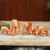 Skulpturen aus Teakholz, (5er-Set) - Kunsthandwerklich gefertigte afrikanische Antilopenskulpturen (5er-Set)