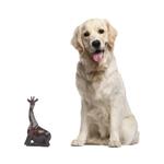 Wood sculpture, 'Kneeling Giraffe' - African Hand Carved Wood Kneeling Giraffe Sculpture