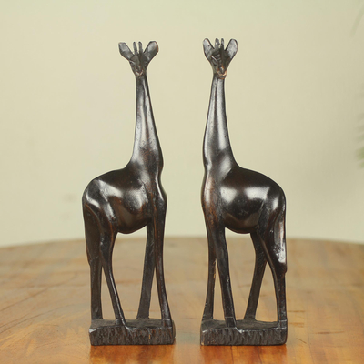 Esculturas de teca, (par) - Dos esculturas de jirafa africana talladas a mano en madera de teca