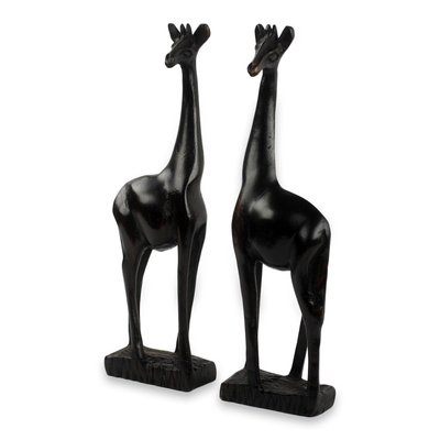 Teak sculptures, 'African Giraffes' (pair) - Two Hand Carved Teak Wood African Giraffe Sculptures