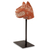 African wood mask, 'Fierce Leopard' - Wild Cat African Mask Sculpture with Stand (image 2c) thumbail