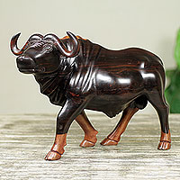 Featured review for Ebony wood sculpture, Buffalo