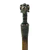 African decorative broom, 'Guro Princess'