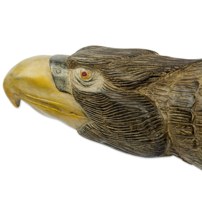 Wood wall sculpture, 'Magnificent Eagle' - Hand Carved Sese Wood Wall Sculpture of Eagle Head