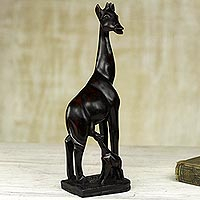 Wood sculpture, 'Giraffe Mother and Child' - Hand Carved Sese Wood Giraffe Sculpture from Ghana