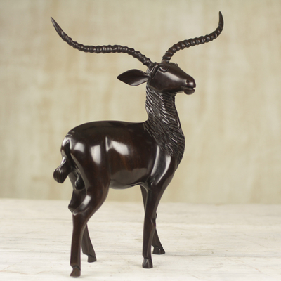 Ebenholzskulptur 'Regal Gazelle' - Westafrikanische Skulptur einer braunen Gazelle aus Ebenholz