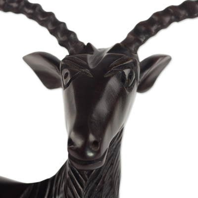Ebony wood sculpture, 'Regal Gazelle' - West African Ebony Wood High Polish Brown Gazelle Sculpture
