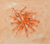 'Family' - Signed Modern Freestyle Painting of Fish in Peach and Orange thumbail