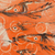 'Family' - Signed Modern Freestyle Painting of Fish in Peach and Orange (image 2b) thumbail