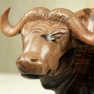 Ebony wood statuette, 'African Buffalo' - Polished Ebony Wood Statuette of Horned Cow from Ghana