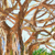 Dorflandschaft – Signierte impressionistische Malerei eines Dorfbaums aus Ghana