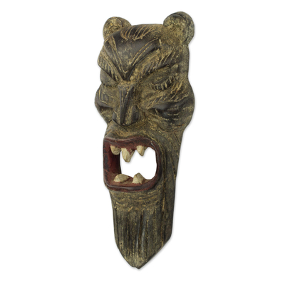 African wood mask, 'Lioness' - Hand Crafted Sese Wood African Lion Mask from Ghana