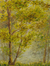 'Beauty of Nature VI' - Signed Impressionist Nature Painting from Ghana thumbail