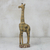 Holzstatuette, 'Giraffe Musing'. - Handgeschnitzte westafrikanische Giraffe Sese Holzstatuette