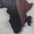 Ebony wood wall art, 'Map of Africa' - Hand Carved Ebony Wood Map of Africa Wall Art from Ghana (image 2b) thumbail