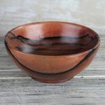 Ebony wood decorative bowl, 'Nature's Richness' - Hand-Carved Polished Ebony Wood Decorative Bowl