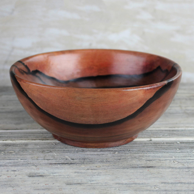 Ebony wood decorative bowl, 'Nature's Richness' - Hand-Carved Polished Ebony Wood Decorative Bowl