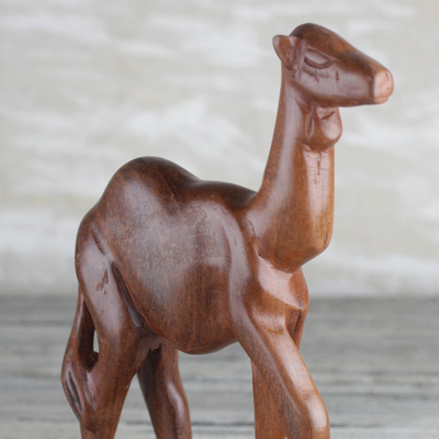 Wood sculpture, 'Walking Camel' - Sese Wood Sculpture of a Camel from Ghana