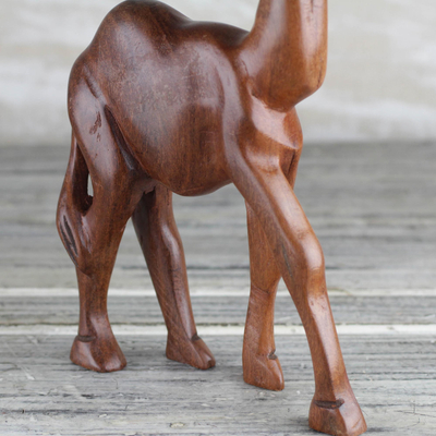 Wood sculpture, 'Walking Camel' - Sese Wood Sculpture of a Camel from Ghana