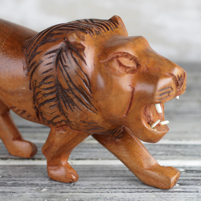 Wood sculpture, 'Lion Roar' - Sese Wood Sculpture of a Lion from Ghana