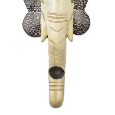 Máscara de madera africana - Máscara de elefante africano de madera de cedro de Ghana