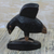 Wood sculpture, 'Clever Bird' - Sese Wood Bird Sculpture in Black from Ghana