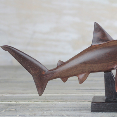 Escultura en madera de ébano - Escultura de gran tiburón blanco de madera de ébano de Ghana