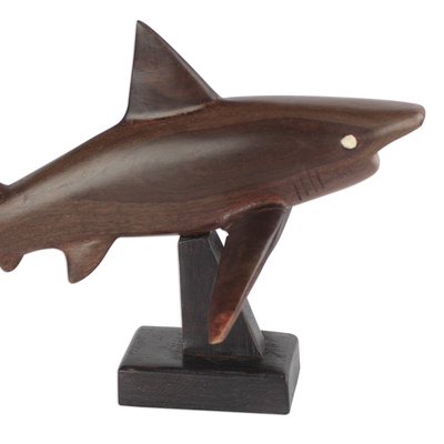 Ebony wood sculpture, 'Great White Shark' - Ebony Wood Great White Shark Sculpture from Ghana
