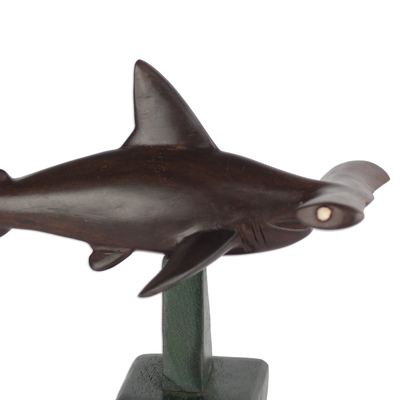 Escultura en madera de ébano - Escultura de tiburón martillo de madera de ébano de Ghana