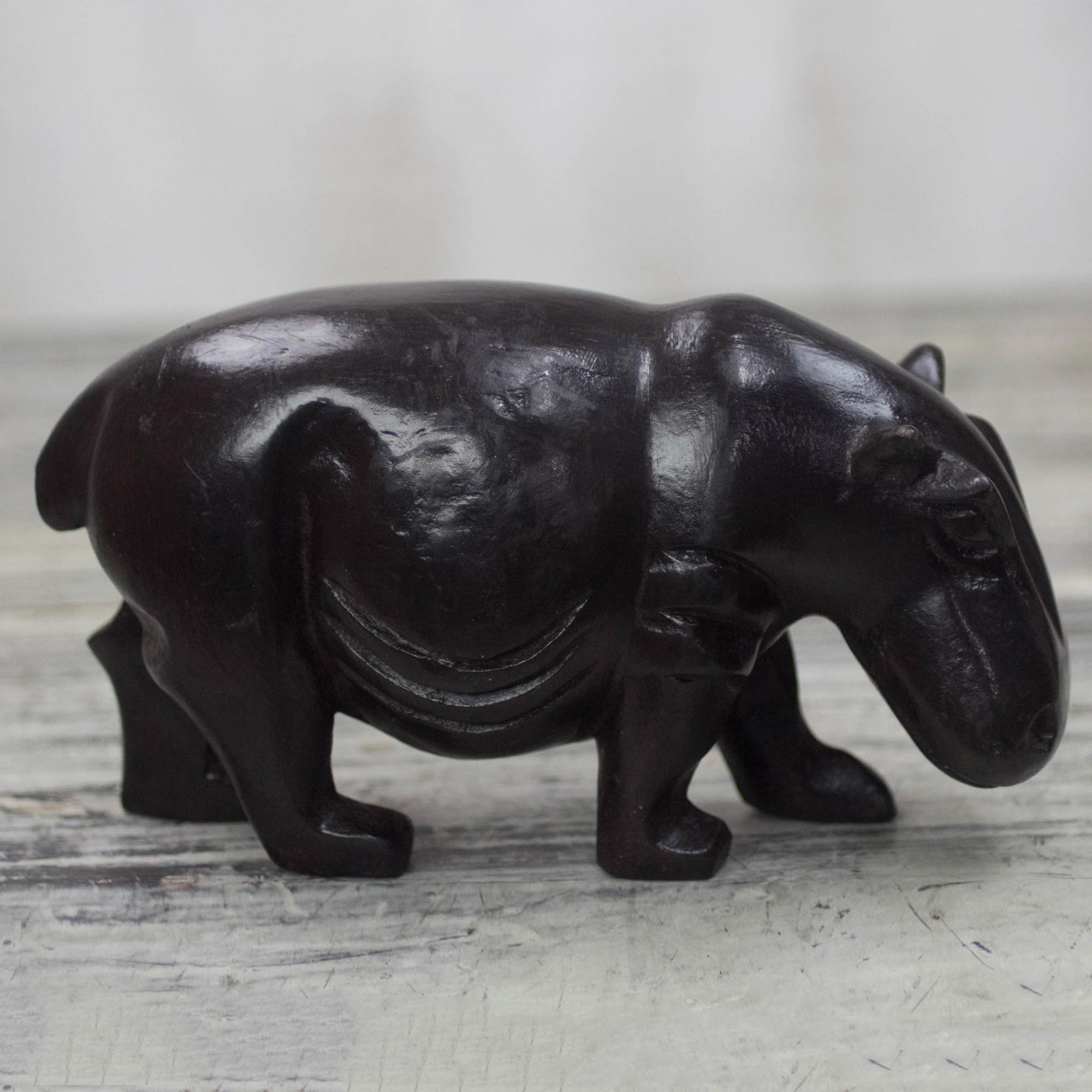 NOVICA Brown Hippo Ebony Wood Sculpture Hippo Head' 