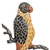 Wood wall sculpture, 'Vibrant Plumage' - Sese Wood Bird Wall Sculpture from Ghana (image 2c) thumbail