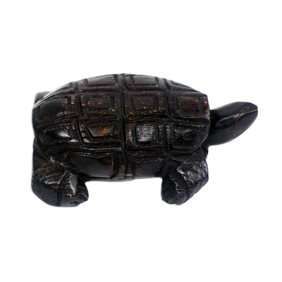 Wood figurine, 'Intriguing Tortoise' - Hand-Carved Sese Wood Tortoise Figurine from Ghana