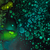 'Yemoja' - Signed Abstract Painting in Green from Nigeria (image 2b) thumbail