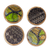 Wood coasters, 'Black and Green Africa' (set of 4) - Black and Green Wood and Cotton Coasters (Set of 4)