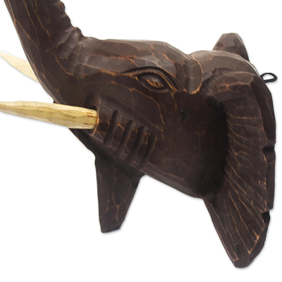 Wood sculpture, 'Snorkel' - Hand Carved Sese Wood Elephant Sculpture