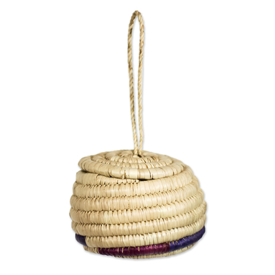 Raffia basket, 'Cute Homestead' - Handwoven Natural Raffia Fiber Hanging Basket from Ghana