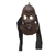 African wood masks, 'Dan Couple' (pair) - Dan-Style African Wood Masks from Ghana (Pair) thumbail