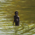 'The Still Water' - Pintura impresionista de escena de río firmada de Ghana