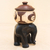 Dekoratives Holzglas - Handgefertigtes Elefanten-Dekogefäß aus Ghana