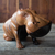Ebony wood sculpture, 'Resting Hippo' - Hand Carved Ebony Wood Hippo Sculpture