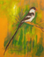 'Tail Coat' - Pintura original de pájaro acrílico firmada