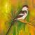 'Tail Coat' - Original Signed Acrylic Bird Painting