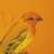 'Master Craft' - Original Signed Acrylic Bird Painting