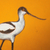 'Elegant' - Original Signed Acrylic Bird Painting