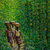 'Forest Path III' - Pintura acrílica de bosque sobre lienzo