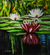 'Oju-Oro' (2021) - Signed Acrylic Flower Painting on Canvas (2021) thumbail